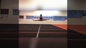 Morgan Shaffer Nfinity Generation Next
