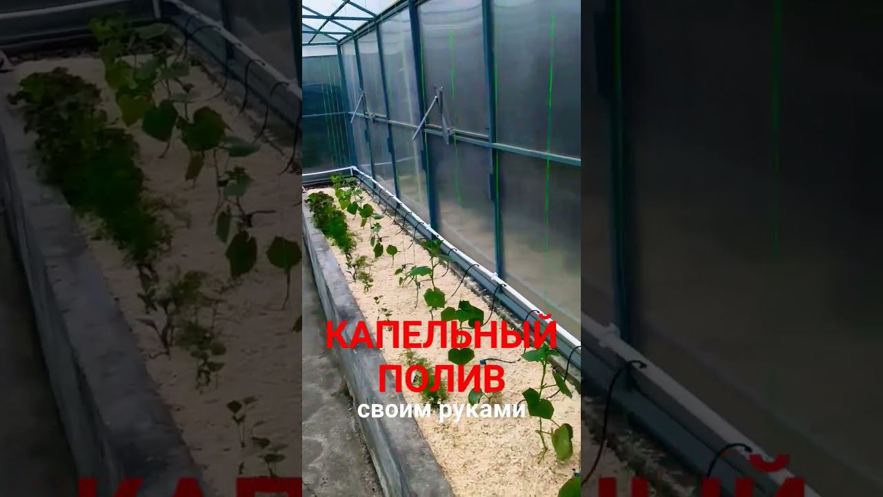 Капельный полив своими руками. Новое видео на канале. смотреть онлайн