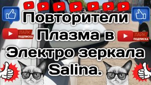 Повторители Плазма в электро зеркала Salina в Весту.