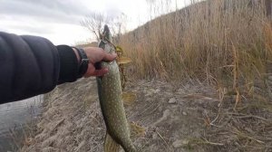 ЭХ уж этот Микроджиг