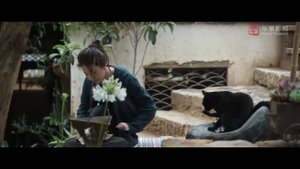 Ветреное место 1 сезон 16 серия