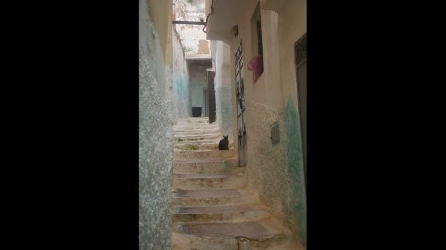 Nils - Alley Cat (2015) смотреть онлайн