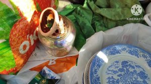 Обогащаюсь на мусорках Москвы.  Путь к удачи  и обратно.