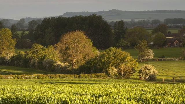 Doubting Shakespeare смотреть онлайн