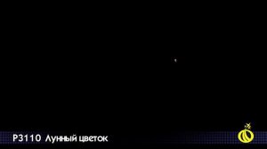 P3110  Летающий Фейерверк Лунный цветок ( бабочки)