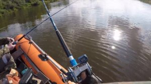 Отличный окушок для наших мест.