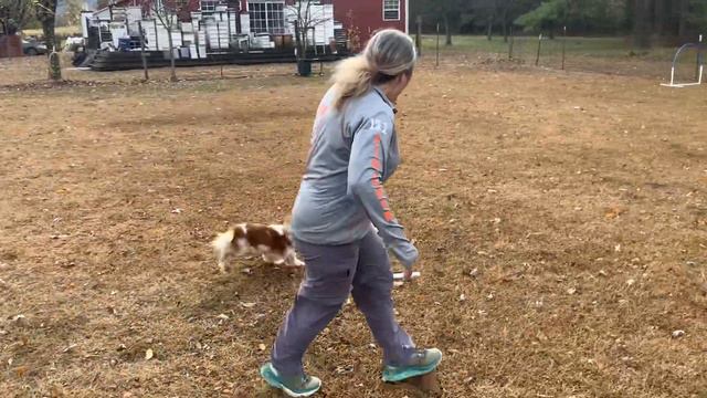 Emmy 10/25/22, TNG 2, Ardis смотреть онлайн