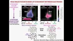 Earl Miller: 2012 Allen Institute for Brain Science Symposium