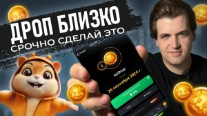 Куда получать токены Hamster Kombat: биржи VS кошельки / Готовимся в дропу Хомяка