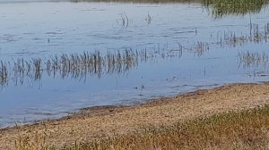 Озеро ''Круглое''.😊