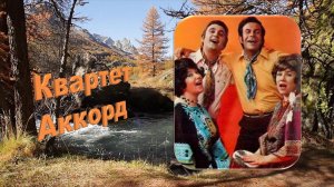 Квартет Аккорд. ТЫ ЛЮБИ ЕЁ...