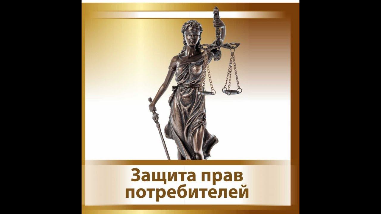 Шибаев Д В Оформление досудебной претензии по защите прав потребителя смотреть онлайн
