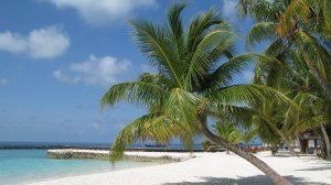 Путешествие на Мальдивы. Maldives vacation. Nakai Dhiggiri Resort