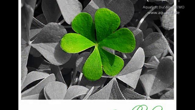 Urodziny Twe смотреть онлайн