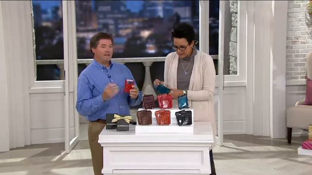 ID Stronghold RFID Set of 2 Croco Minis with Zipper on QVC смотреть онлайн