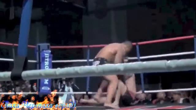 Соа Палелеи смотреть онлайн