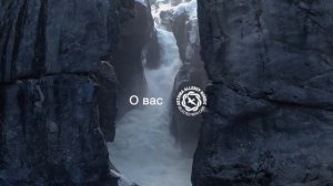 Гель для посудомоечной машины «3 в 1» от ASKO