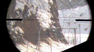 Bergara B14 22LR стрелба на 100м 200м 287м