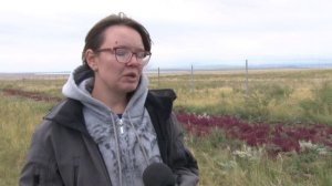 Первые новости от 18.09.24