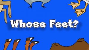Whose Feet? | Learn Animals Song for Kids