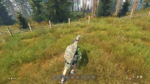 DayZ - как искать хеликраш "ГЕЛИК" XD