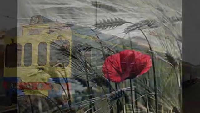 Enzo Jannacci - Sfiorisci bel fiore.wmv смотреть онлайн