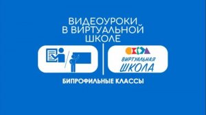 Урок № 14. Бипрофильные классы