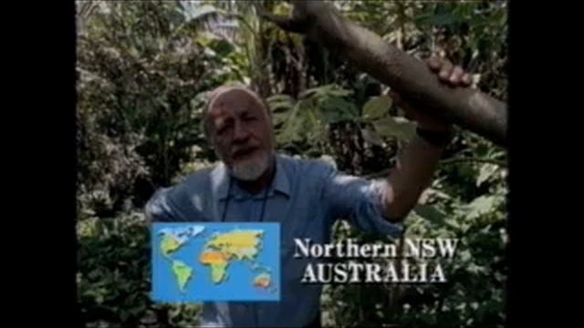 Permaculture One Bill Mollison