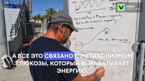 Дейв Сало | Кейс против аэробной базы в плавании | интенсивность тренировки пловцов