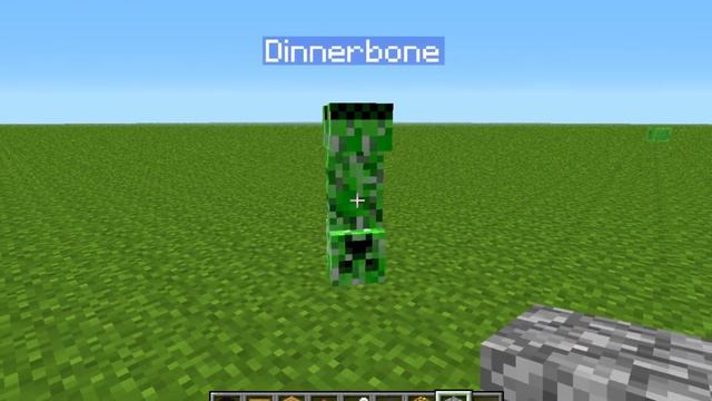 Minecraft Name Tag Tricks You Should Know | Minecraft Name Tags | Tips & Tricks смотреть онлайн