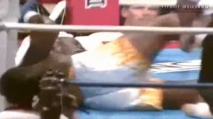Greatest Knockouts in K-1