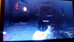 Call of duty world at war zombies