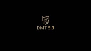 Пример видеозаписи DMT 5.3 (1)