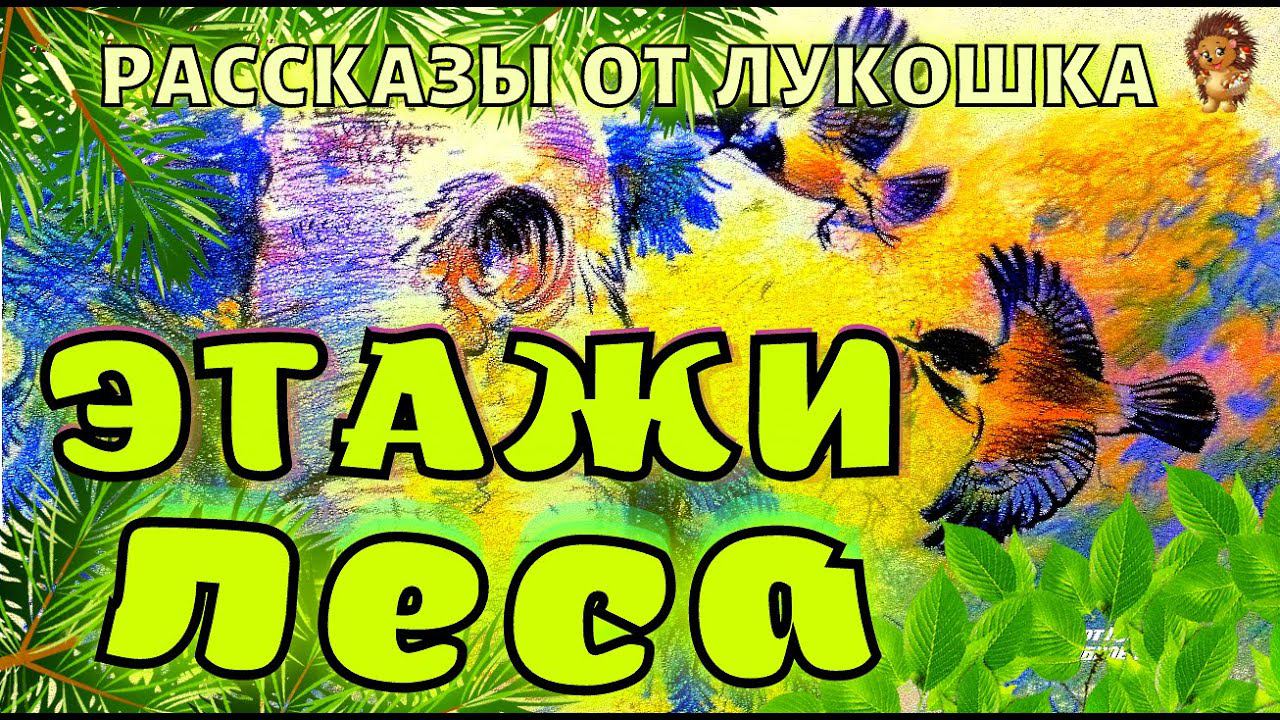 ЭТАЖИ ЛЕСА — Рассказ | Михаил Пришвин | Аудио рассказы | Рассказы Пришвина | Книги Онлайн