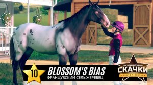 Создаем французского селя и скрещиваем с наследным арабом  Rival Stars Horse Racing