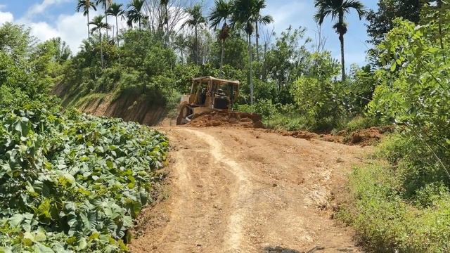 Old Road Service Bulldozer D6R XL Works to Repair Plantation Roads