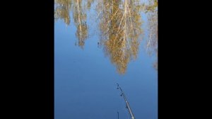 классная рыбалка на карася осенью