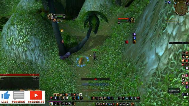 WoW Classic | Night Elf Hunter | Server: Blaumeux (PvP) | Lv 43 | Vid 47 | STV, Badlands - PvP! смотреть онлайн