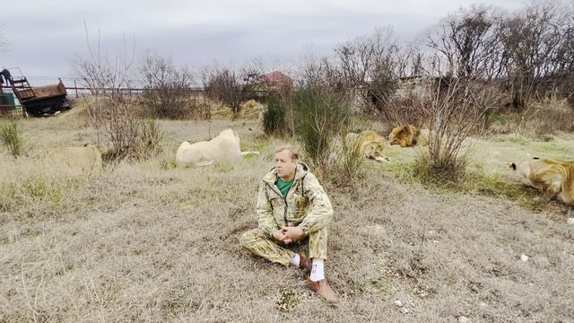 Это не видео, а ЛЬВИНЫЙ БОЕВИК ! Человек-лев со своими львами поддержал нового мэра Феодосии!