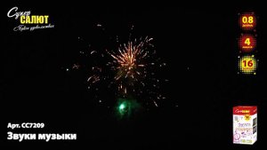 Салют "Звуки музыки" 0.8"х16, арт. СС7209 
Салютыч