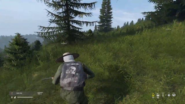 Суровое начало приключений на Ливонии - DayZ