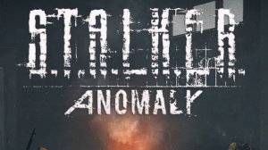 Stalker Anomaly №9 Кряк Бригада