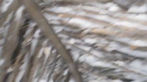 Строю шалаш в лесу зимой для ночёвок и рыбалок! Часть 3!