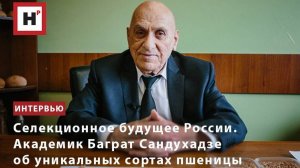 Селекционное будущее России. Академик Баграт Сандухадзе об уникальных сортах пшеницы