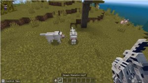 Minecraft: Wolf VS Skeleton wolf from Minecraft Earth