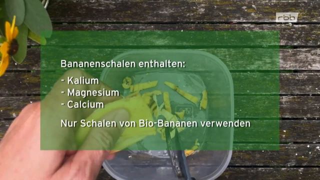 Du wirst nie mehr Bananenschalen wegwerfen, wenn Du das siehst I Horst sein Schrebergarten смотреть онлайн
