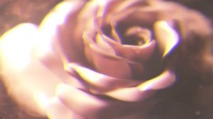 Grey Daze - The Syndrome (Fan Lyric Video)