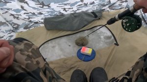 БАЛАНСИРЫ РЫБАЛКА НА ОКУНЯ СУДАКА НА ТЕЧЕНИИ