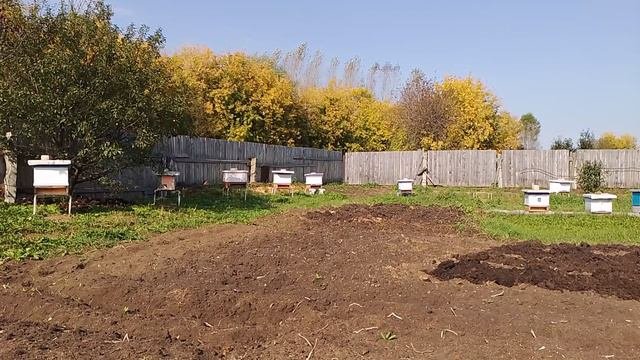Вступительное видео