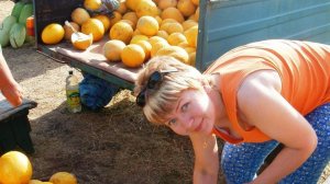 Крым 2006